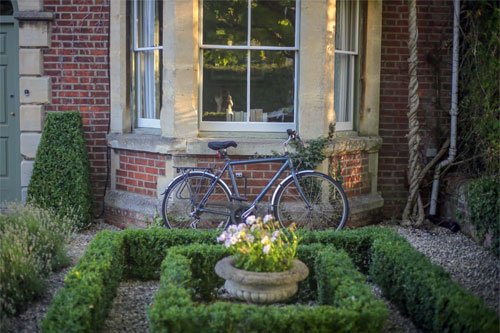 Tree service project in Arlington TX