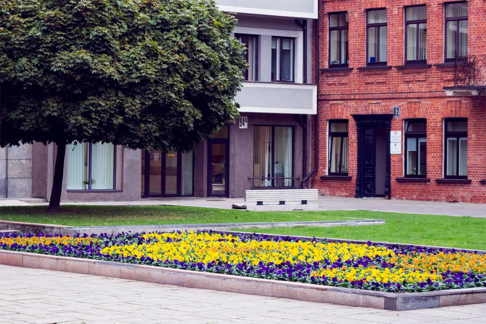 Leaf cleanup and yard debris removal in Grand Prairie TX